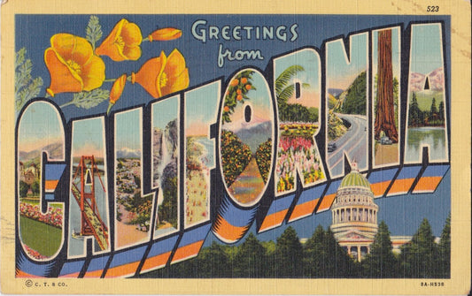 Vintage California Postcard 1920's